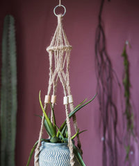 Suspended Planter