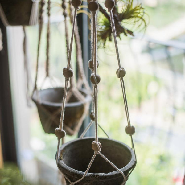 Suspended Planter