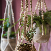 Suspended Planter