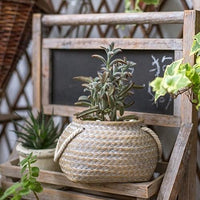 Vessel Planter | Small